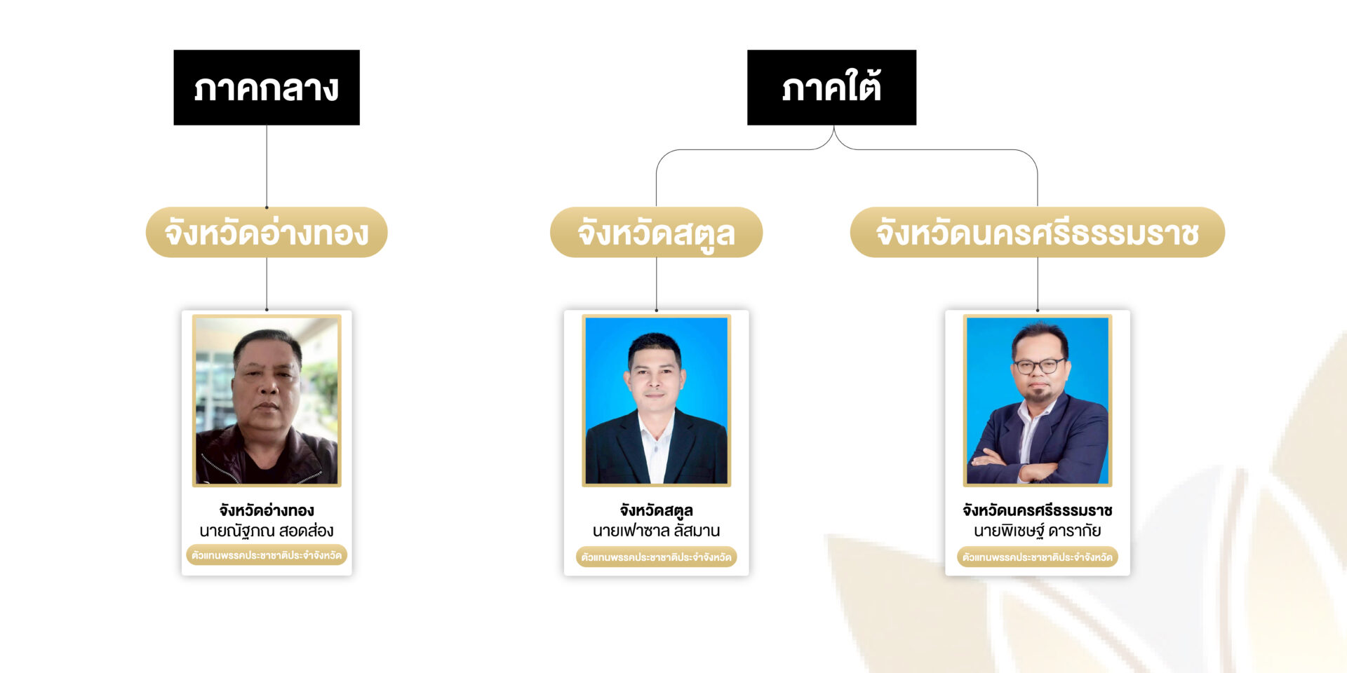 ตัวแทนประจำจังหวัด