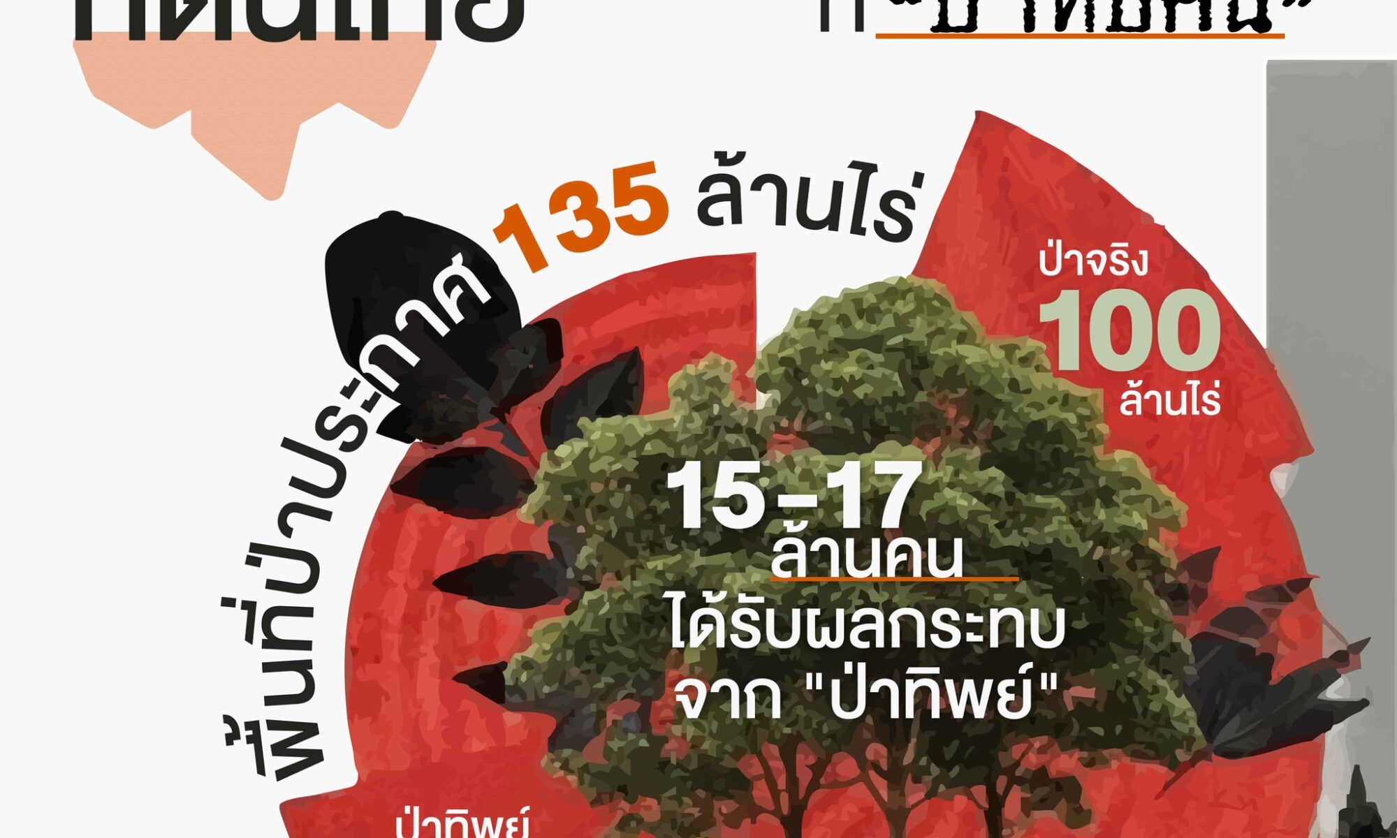 ตลกร้ายที่ดินไทย โศกนาฏกรรมความเหลื่อมล้ำ จาก ป่าทิพย์ สู่การ คืนชีวิต